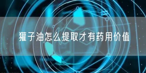 獾子油怎么提取才有药用价值