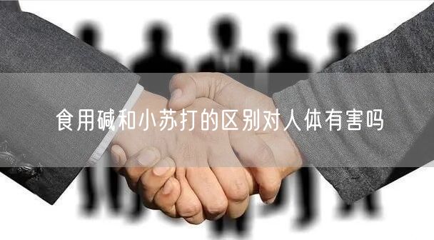 食用碱和小苏打的区别对人体有害吗