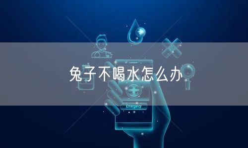 兔子不喝水怎么办