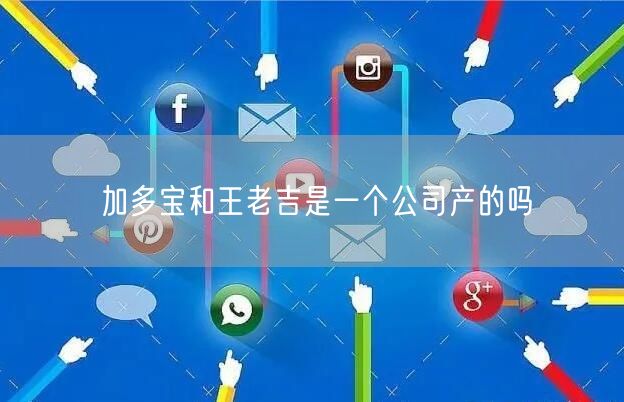 加多宝和王老吉是一个公司产的吗
