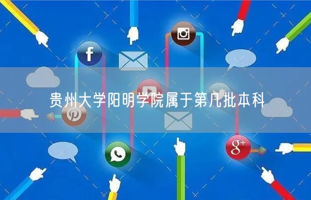 贵州大学阳明学院属于第几批本科
