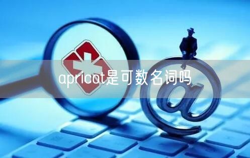 apricot是可数名词吗