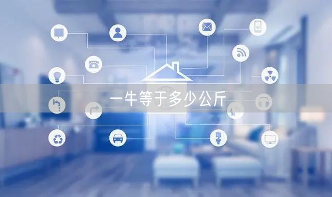 一牛等于多少公斤