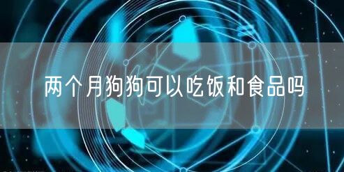 两个月狗狗可以吃饭和食品吗