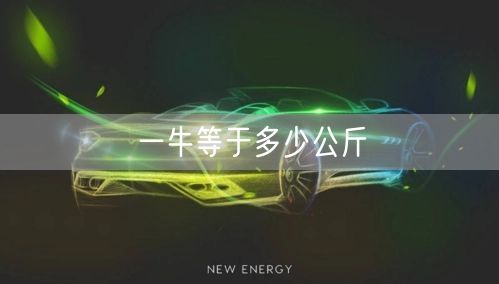 一牛等于多少公斤
