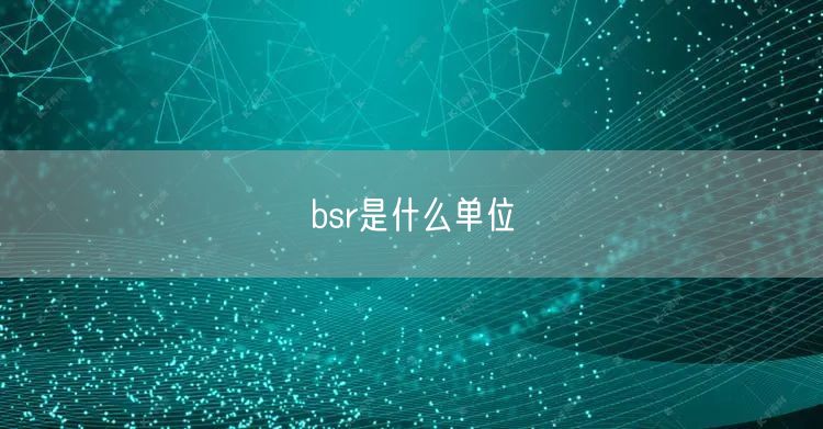 bsr是什么单位