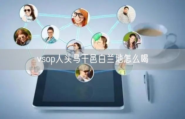 vsop人头马干邑白兰地怎么喝