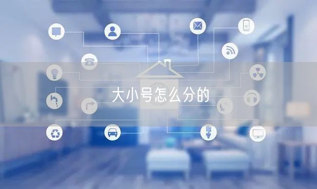 大小号怎么分的