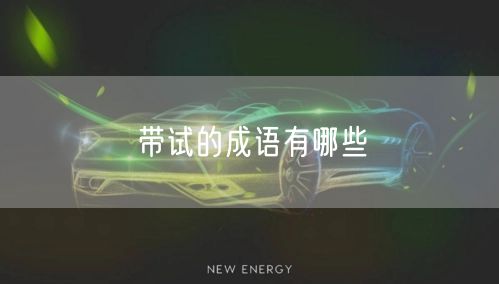带试的成语有哪些