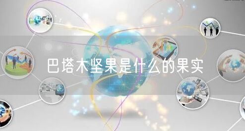 巴塔木坚果是什么的果实
