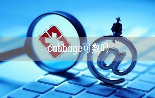 cabbage可数吗