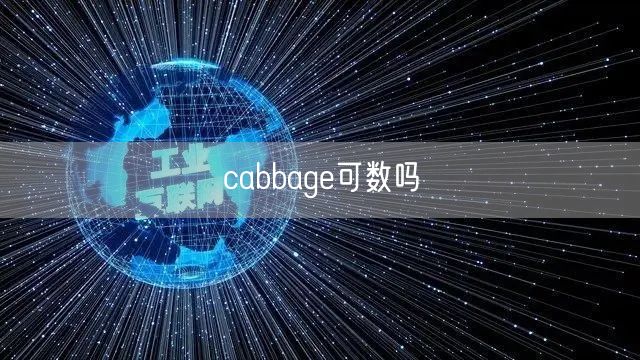 cabbage可数吗