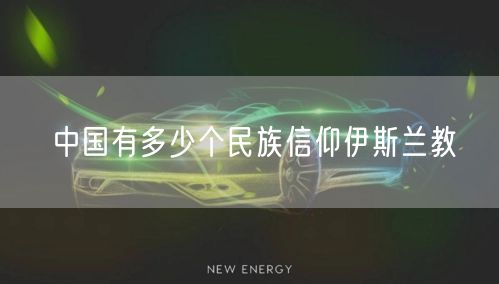 中国有多少个民族信仰伊斯兰教