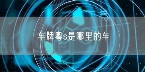 车牌粤s是哪里的车
