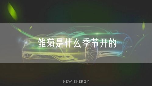 雏菊是什么季节开的