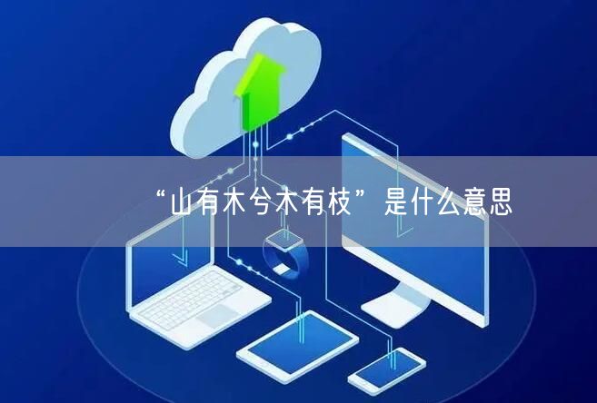 “山有木兮木有枝”是什么意思