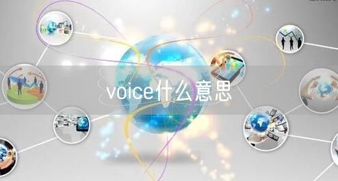 voice什么意思