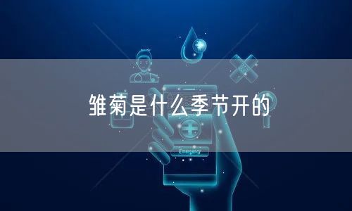 雏菊是什么季节开的