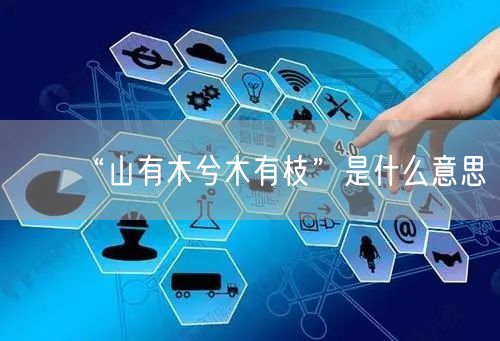 “山有木兮木有枝”是什么意思