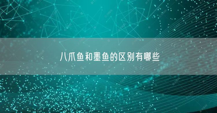 八爪鱼和墨鱼的区别有哪些