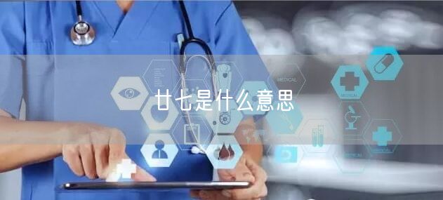 廿七是什么意思