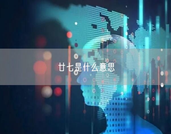 廿七是什么意思