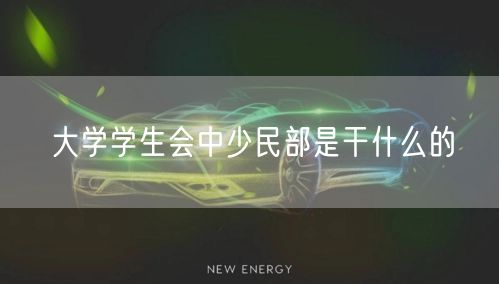 大学学生会中少民部是干什么的
