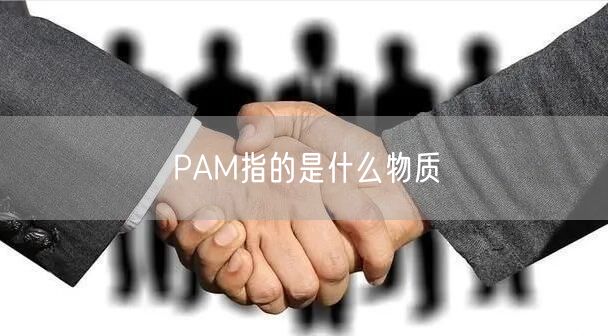 PAM指的是什么物质