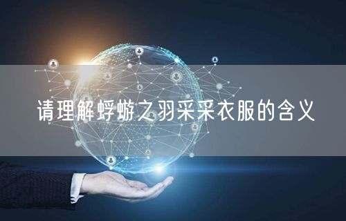 请理解蜉蝣之羽采采衣服的含义