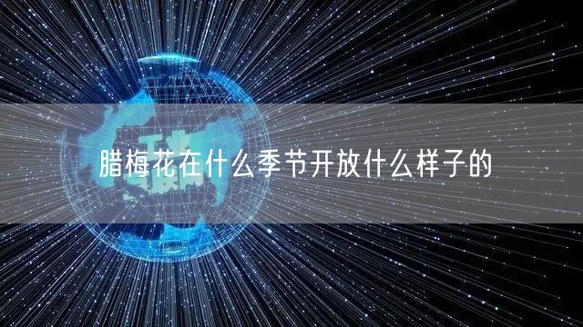 腊梅花在什么季节开放什么样子的