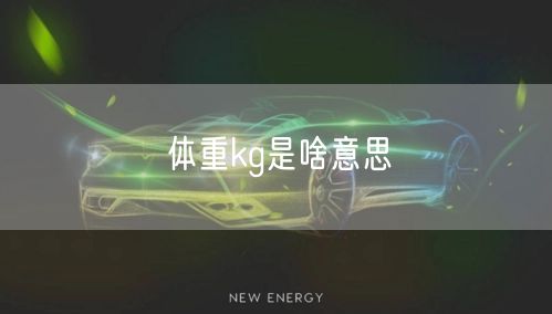 体重kg是啥意思
