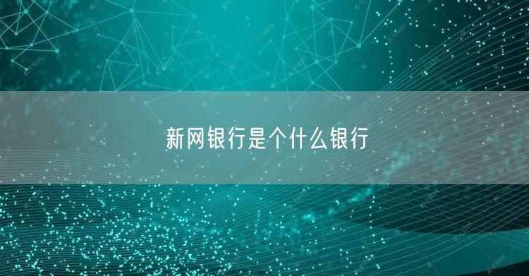 新网银行是个什么银行