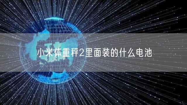 小米体重秤2里面装的什么电池 小米体重秤2里面装的什么电池