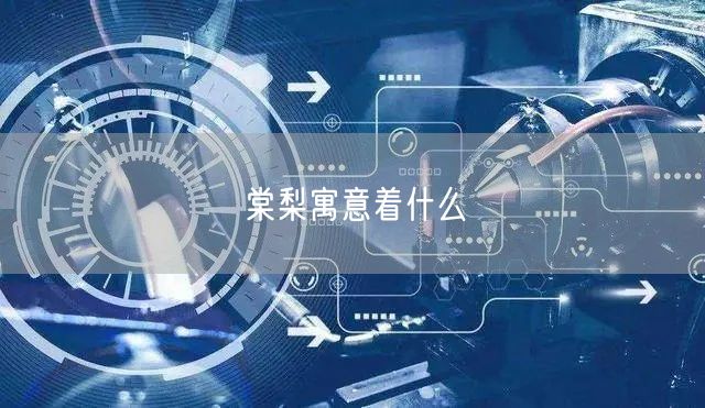 棠梨寓意着什么