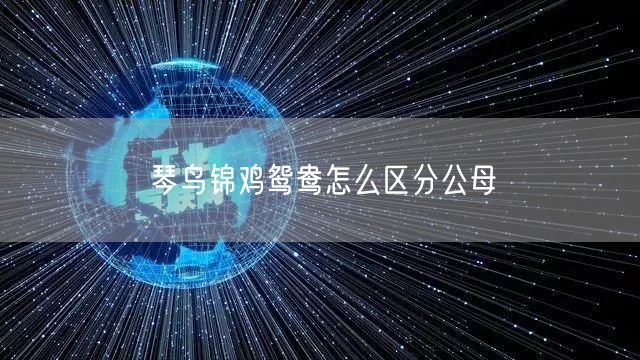 琴鸟锦鸡鸳鸯怎么区分公母