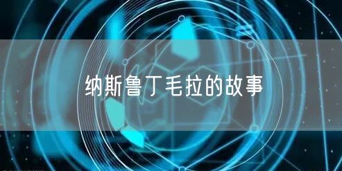 纳斯鲁丁毛拉的故事