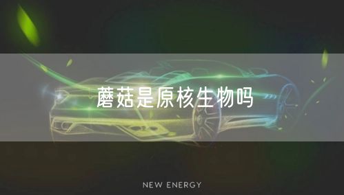 蘑菇是原核生物吗