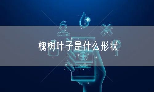 槐树叶子是什么形状