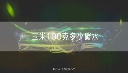玉米100克多少碳水