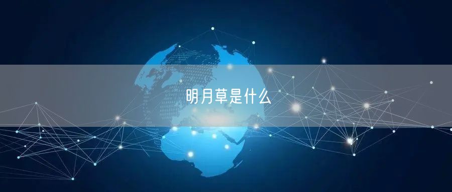 明月草是什么 明月草是什么