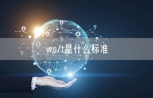 ws/t是什么标准
