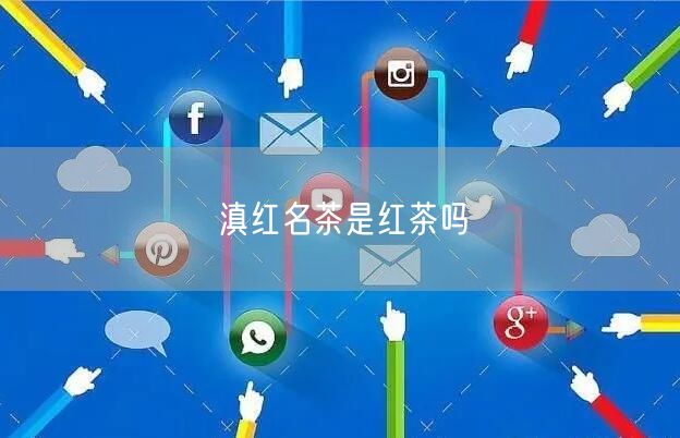 滇红名茶是红茶吗