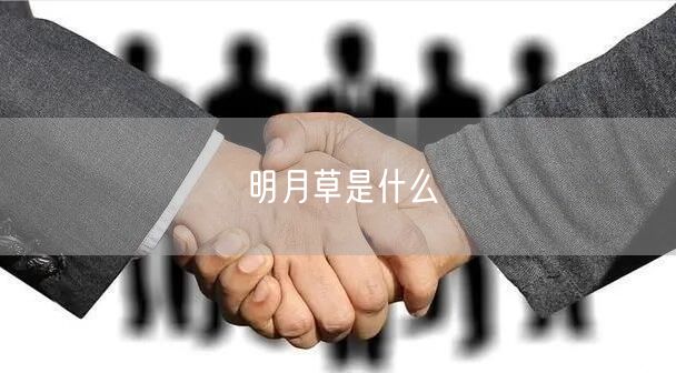 明月草是什么