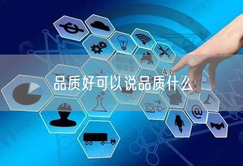 品质好可以说品质什么