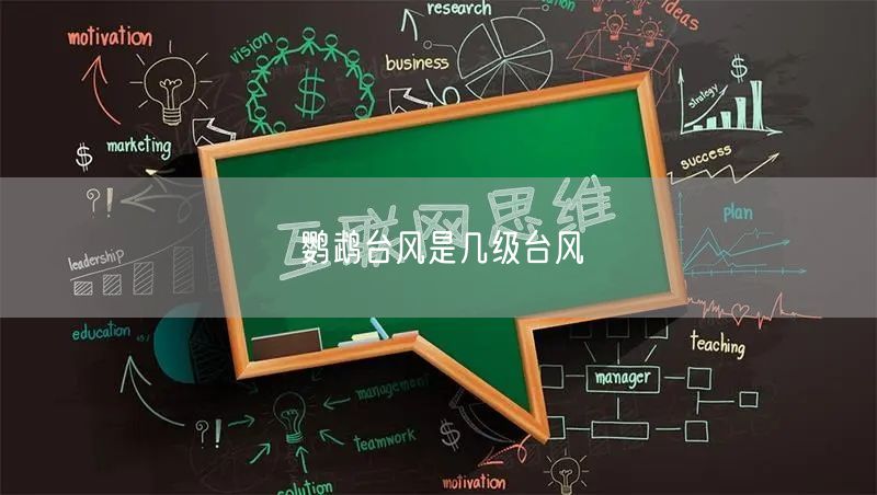 鹦鹉台风是几级台风 鹦鹉台风是几级台风
