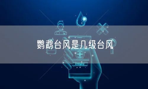 鹦鹉台风是几级台风
