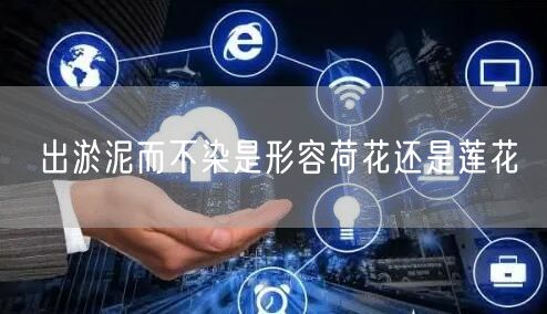 出淤泥而不染是形容荷花还是莲花