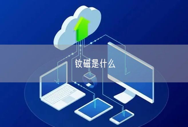 钕磁是什么