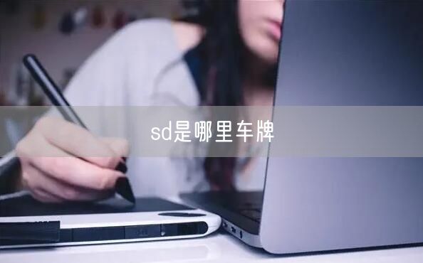 sd是哪里车牌 sd是哪里车牌