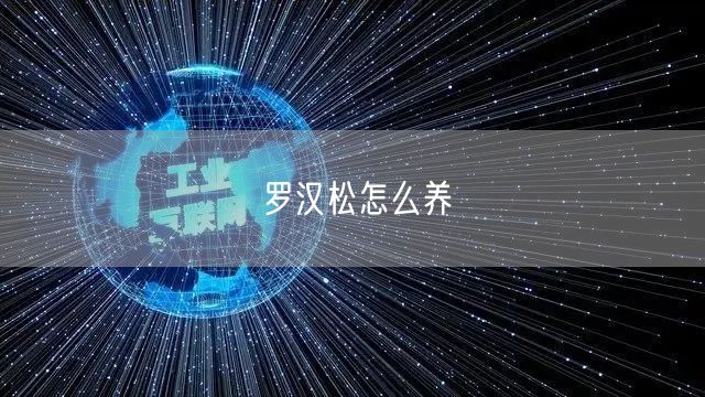 罗汉松怎么养